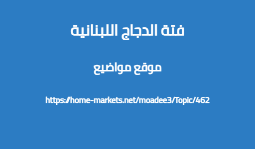 فتة الدجاج اللبنانية