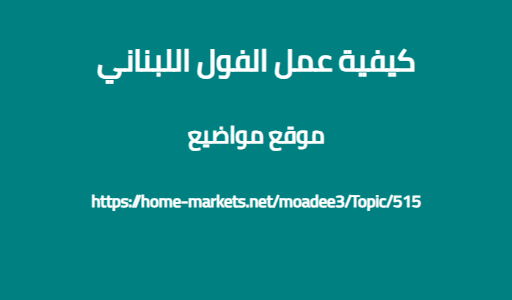 كيفية عمل الفول اللبناني