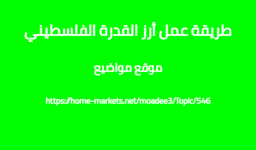 طريقة عمل أرز القدرة الفلسطيني