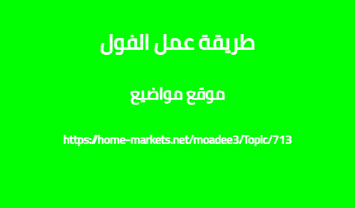 طريقة عمل الفول