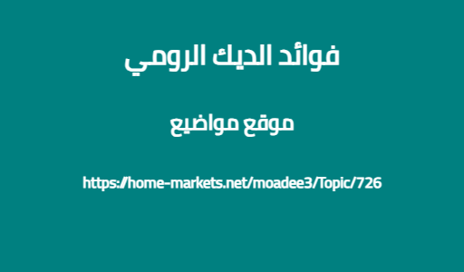 فوائد الديك الرومي