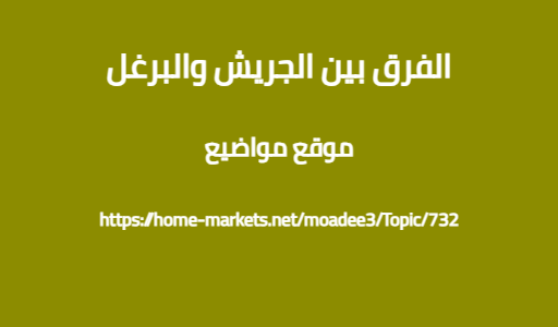 الفرق بين الجريش والبرغل