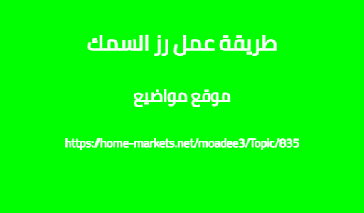 طريقة عمل رز السمك