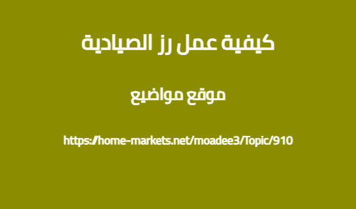 كيفية عمل رز الصيادية