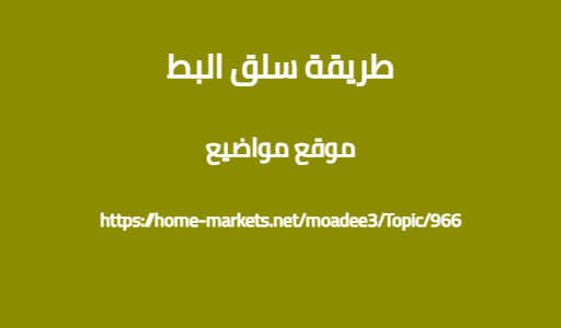 طريقة سلق البط