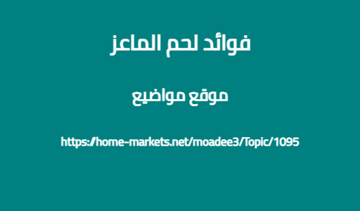فوائد لحم الماعز