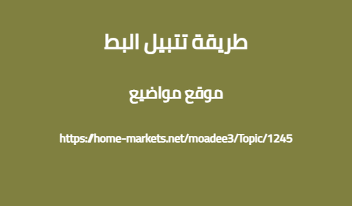 طريقة تتبيل البط