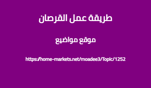 طريقة عمل القرصان