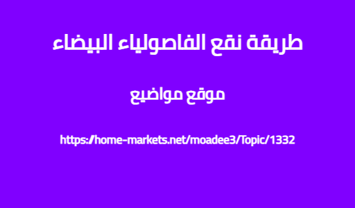 طريقة نقع الفاصولياء البيضاء