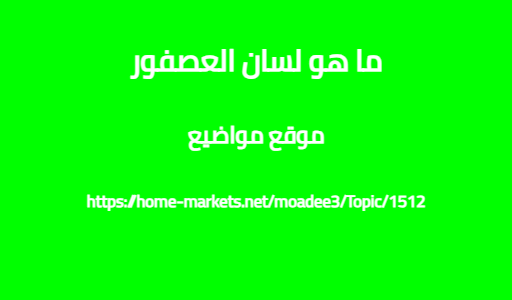ما هو لسان العصفور