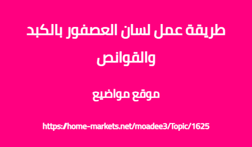 طريقة عمل لسان العصفور بالكبد والقوانص