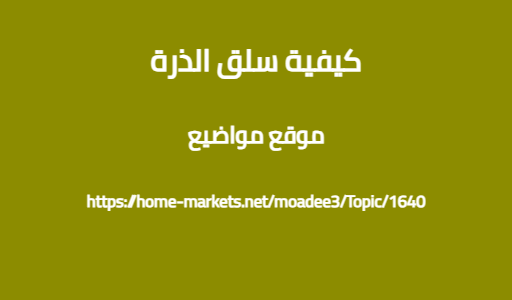 كيفية سلق الذرة