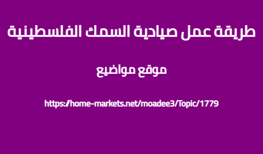 طريقة عمل صيادية السمك الفلسطينية