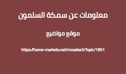 معلومات عن سمكة السلمون