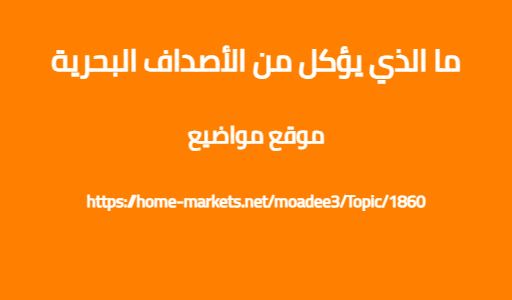 ما الذي يؤكل من الأصداف البحرية