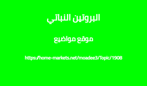 البروتين النباتي