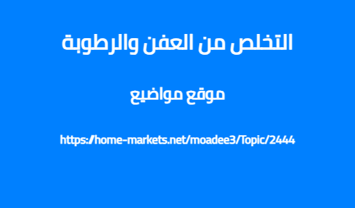 التخلص من العفن والرطوبة