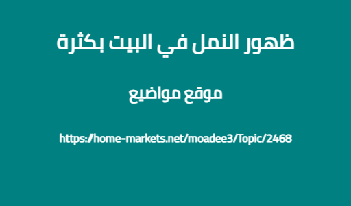 ظهور النمل في البيت بكثرة