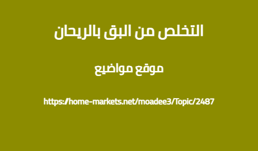التخلص من البق بالريحان