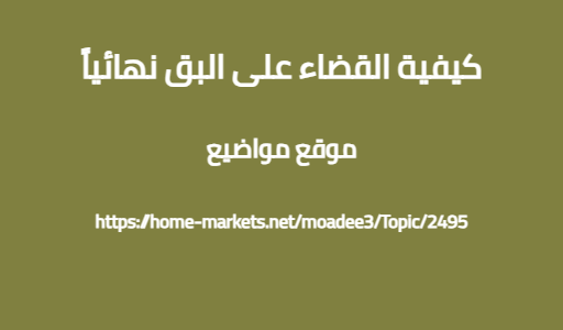 كيفية القضاء على البق نهائياً