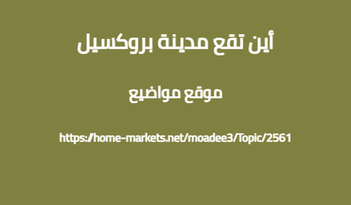 أين تقع مدينة بروكسيل