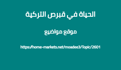 الحياة في قبرص التركية