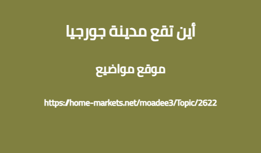 أين تقع مدينة جورجيا