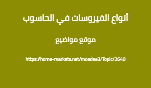 أنواع الفيروسات في الحاسوب
