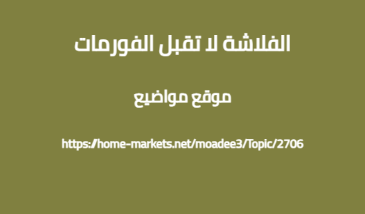 الفلاشة لا تقبل الفورمات