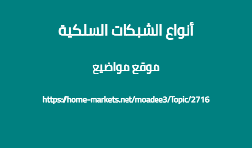 أنواع الشبكات السلكية