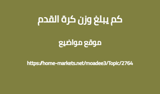 كم يبلغ وزن كرة القدم