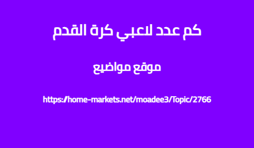 كم عدد لاعبي كرة القدم