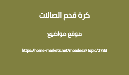 كرة قدم الصالات