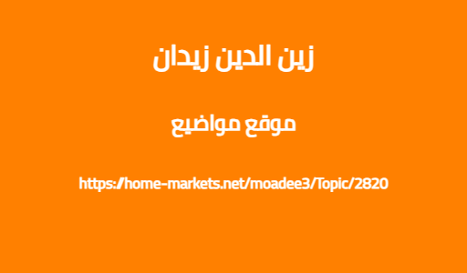 زين الدين زيدان