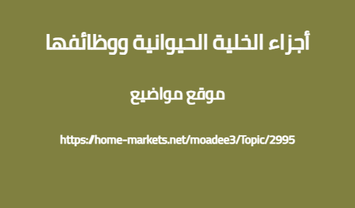 أجزاء الخلية الحيوانية ووظائفها