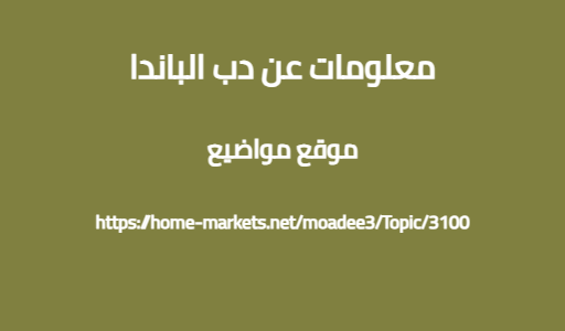 معلومات عن دب الباندا