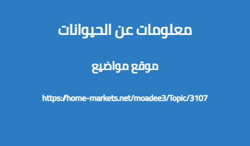 معلومات عن الحيوانات