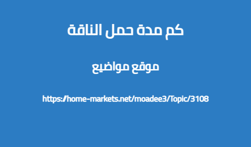 كم مدة حمل الناقة