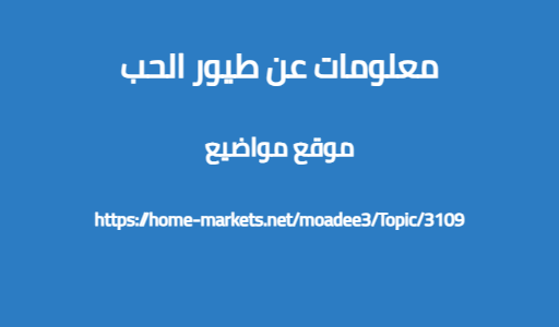 معلومات عن طيور الحب
