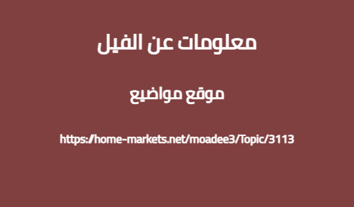 معلومات عن الفيل