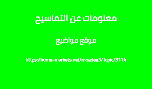 معلومات عن التماسيح