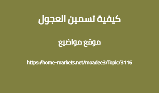 كيفية تسمين العجول