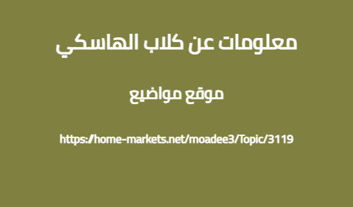 معلومات عن كلاب الهاسكي