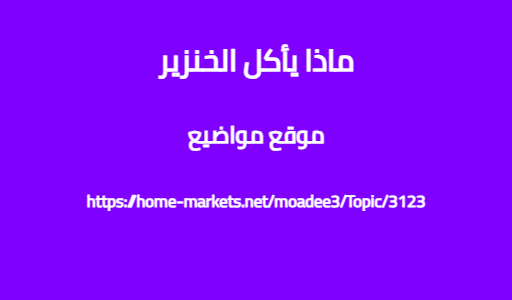 ماذا يأكل الخنزير