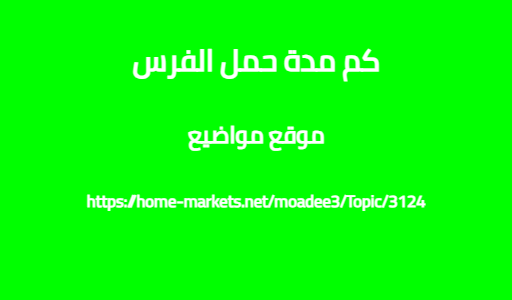 كم مدة حمل الفرس