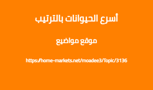 أسرع الحيوانات بالترتيب