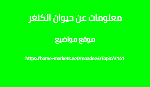 معلومات عن حيوان الكنغر