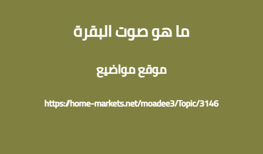 ما هو صوت البقرة