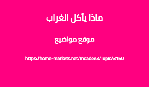 ماذا يأكل الغراب