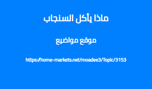 ماذا يأكل السنجاب